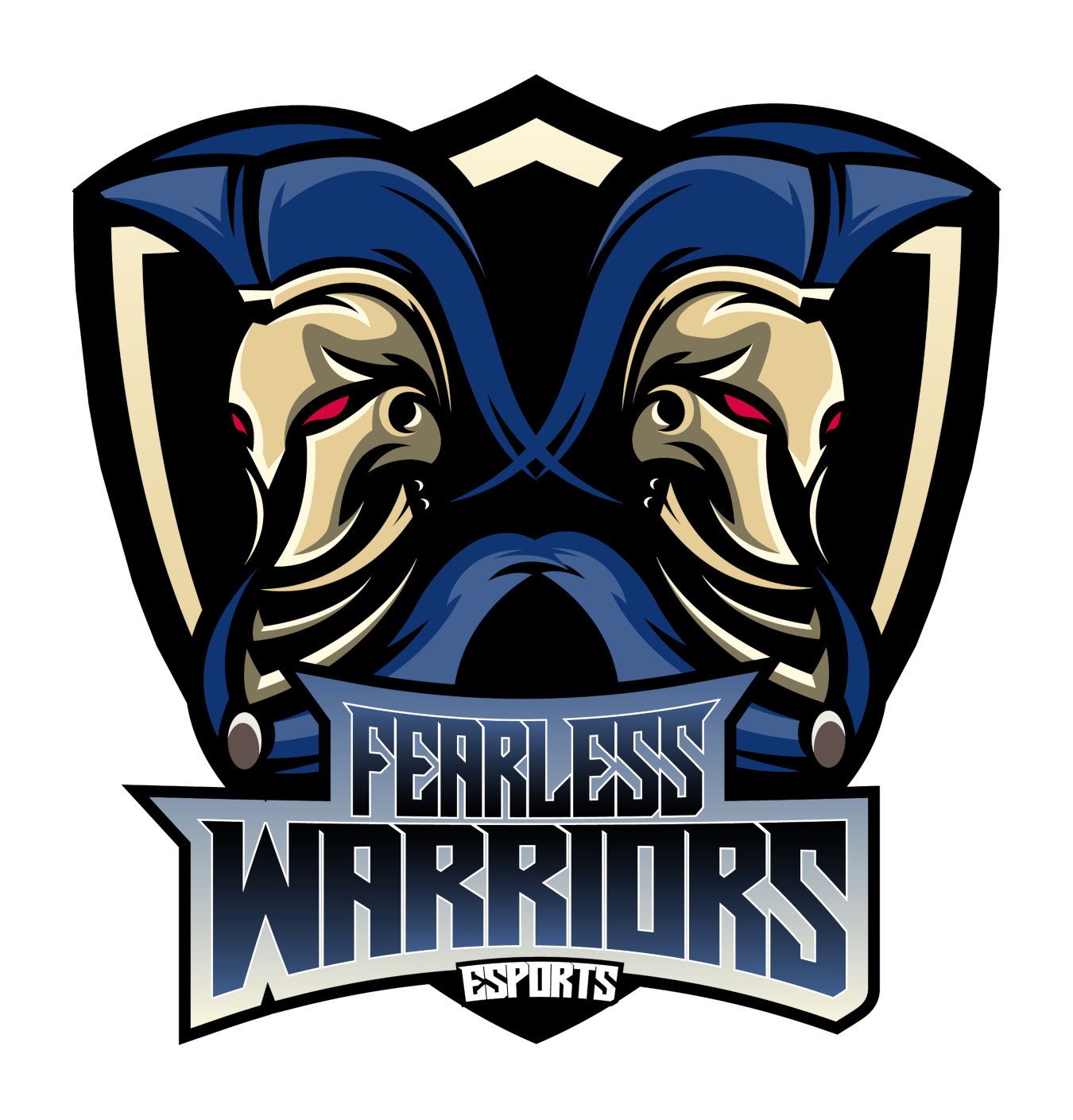 fearless warriors air force 1